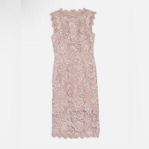 Dress The Population Cardea Guipure Lace Dress in Dusty Rose Pink Size S